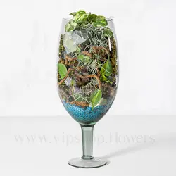 تراریوم پایه دار شیشه ای