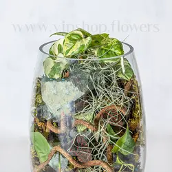 تراریوم پایه دار شیشه ای