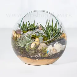 تراریوم شماره 25 :: تراریوم نیمه باز