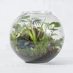 خرید تراریوم کروی تنگی - ارسال رایگان