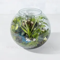 خرید تراریوم کروی تنگی - ارسال رایگان