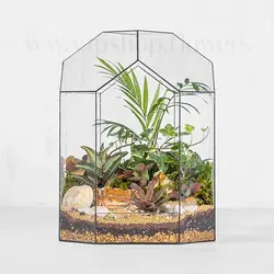 خرید تراریوم 6 ضلعی شیشه‌ای