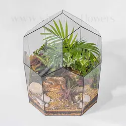 خرید تراریوم 6 ضلعی شیشه‌ای