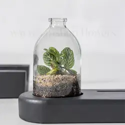 ست اداری تراریوم