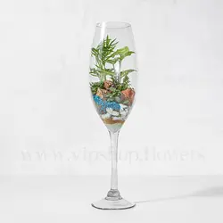 خرید جام تراریوم شیشه‌ای + تحویل سریع در محل