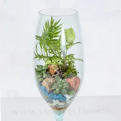 خرید جام تراریوم شیشه‌ای + تحویل سریع در محل