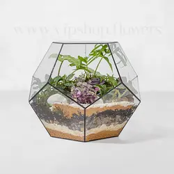 خرید تراریوم شیشه‌ای 5 ضلعی + ارسال رایگان و فوری
