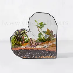 خرید تراریوم شیشه‌ای قلبی | ارسال رایگان در تهران