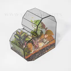 خرید تراریوم شیشه‌ای قلبی | ارسال رایگان در تهران