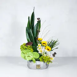 سفارش اینترنتی جعبه گل سیمانی شیک آفتابگردان | گلفروشی VIP Shop