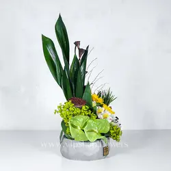 سفارش اینترنتی جعبه گل سیمانی شیک آفتابگردان | گلفروشی VIP Shop