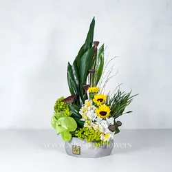سفارش اینترنتی جعبه گل سیمانی شیک آفتابگردان | گلفروشی VIP Shop