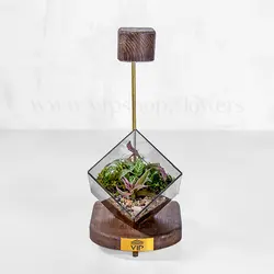 تراریوم مکعبی نوری