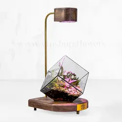 تراریوم مکعبی نوری