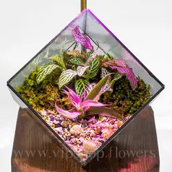 تراریوم مکعبی نوری