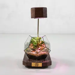 تراریوم چند ضلعی