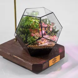 تراریوم چند ضلعی