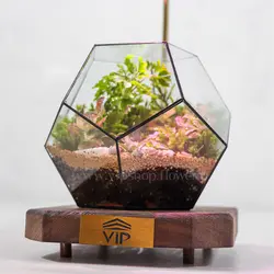 تراریوم چند ضلعی