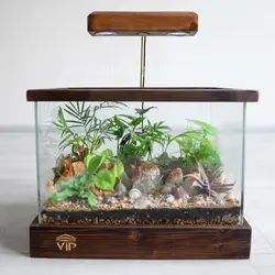 تراریوم آکواریومی با نور و روشنایی با قیمت و خرید آنلاین