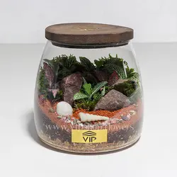 تراریوم نیمه باز و فانتزی - قیمت و خرید آنلاین