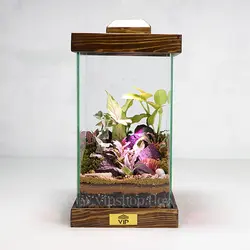 تراریوم لامپی با استند نور