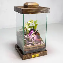 تراریوم لامپی با استند نور