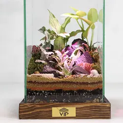 تراریوم لامپی با استند نور