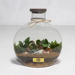 خرید تراریوم ارزان با قیمت اقتصادی و مقرون به صرفه