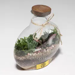 خرید تراریوم ارزان با قیمت اقتصادی و مقرون به صرفه