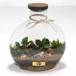 خرید تراریوم ارزان با قیمت اقتصادی و مقرون به صرفه