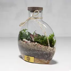 خرید تراریوم ارزان با قیمت اقتصادی و مقرون به صرفه