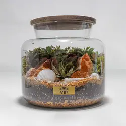 تراریوم جنگلی (جنگل کوچک در شیشه)