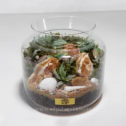 تراریوم جنگلی (جنگل کوچک در شیشه)