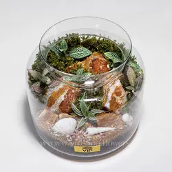 تراریوم جنگلی (جنگل کوچک در شیشه)