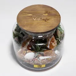 تراریوم جنگلی (جنگل کوچک در شیشه)