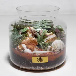 تراریوم جنگلی (جنگل کوچک در شیشه)