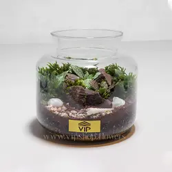 تراریوم جنگلی (جنگل کوچک در شیشه)