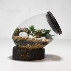 تراریوم خاص و لاکچری