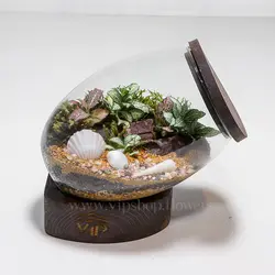 تراریوم خاص و لاکچری