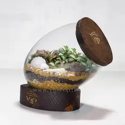 تراریوم خاص و لاکچری