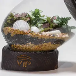 تراریوم خاص و لاکچری