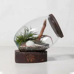 تراریوم خاص و لاکچری