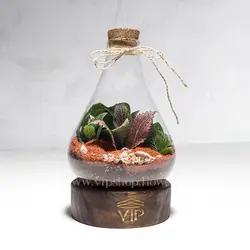 تراریوم مینیاتوری و کوچک