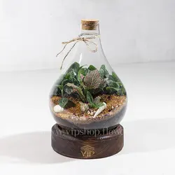 تراریوم مینیاتوری و کوچک