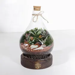 تراریوم مینیاتوری و کوچک