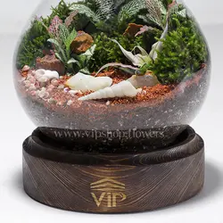 تراریوم مینیاتوری و کوچک