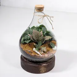 تراریوم مینیاتوری و کوچک