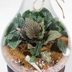 تراریوم مینیاتوری و کوچک