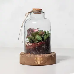 تراریوم طرح آمازون - خرید آنلاین و قیمت تراریوم چوب پنبه‌ای