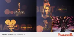 Videohive Awards Package 7053845